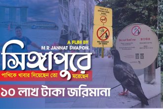 প্রথমবার সিঙ্গাপুর ভ্রমণে যা শিখলাম | মুই কি হনুরে | Thailand to Singapore Travel 4K | Jannat Swapon