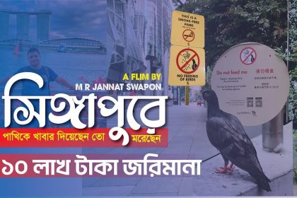 প্রথমবার সিঙ্গাপুর ভ্রমণে যা শিখলাম | মুই কি হনুরে | Thailand to Singapore Travel 4K | Jannat Swapon