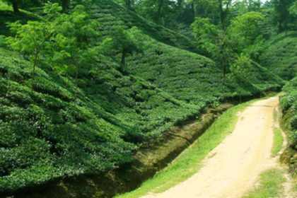 পর্যটক টানতে ব্যর্থ মৌলভীবাজার: ট্যুরিজম বোর্ডের মাস্টারপ্ল্যান বাস্তবায়নের অপেক্ষা