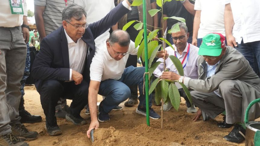 আশরাফুল কবির, বাংলাদেশ গ্লোবাল